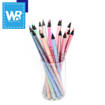 OEM-Color pencil B